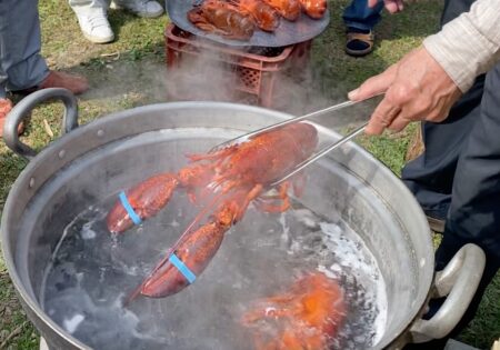 オマール海老　ボイル