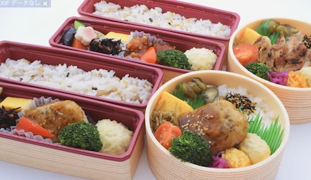 ワンビル　梅の花